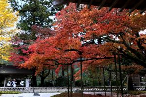 【福岡・糸島】雷山千如寺大悲王院の紅葉